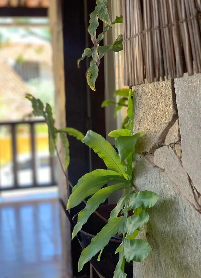 Peixe Crew Geribá Acomodação com café da manhã Búzios 2*,
