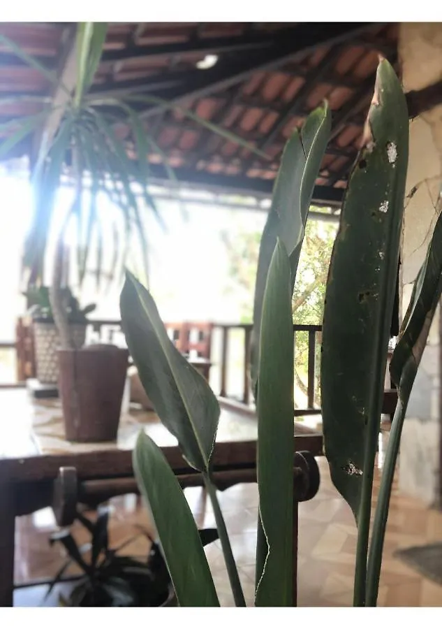 Bed and Breakfast Peixe Crew Geribá Búzios Brasilien
